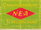 Schets N.E.A.-vlag door C. Druif.